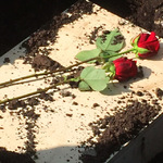 Kleintier-Sarg mit roter Rose