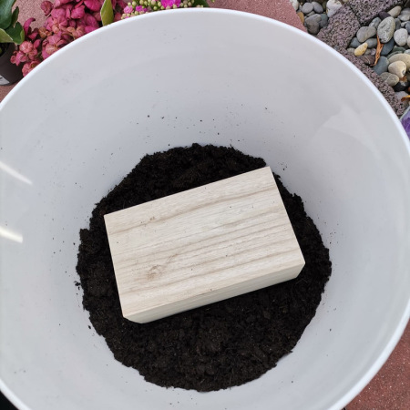 Tierasche in Urne wird in den Blumentopf als Zimmergrab gelegt