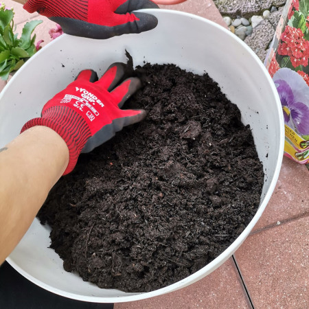 Die Tierasche wird mit Blumenerde bedeckt